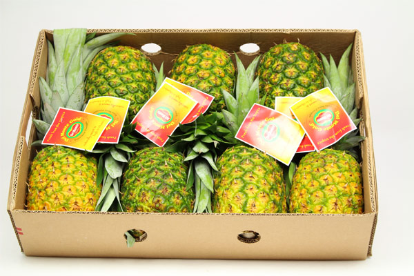 デルモンテゴールド 完熟パイナップル その他 売買されたオークション情報 Yahooの商品情報をアーカイブ公開 オークファン Aucfan Com