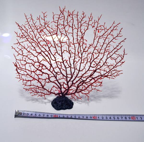 サンゴ レプリカ ヤギ イソバナ 赤色 サンゴ 売買されたオークション情報 Yahooの商品情報をアーカイブ公開 オークファン Aucfan Com