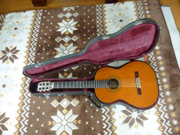 ノーマルサイズのエレガット「TAKAMINE PTG-007」純正Hケース付 ノーマルサイズのエレガット「TAKAMINE PTG-007」純正Hケース付