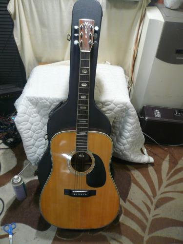 TFモーリスアコギ　W-50★F011004