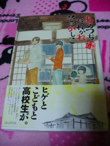 12月新刊 あめつちだれかれそこかしこ 青桐ナツ 青年 売買されたオークション情報 Yahooの商品情報をアーカイブ公開 オークファン Aucfan Com