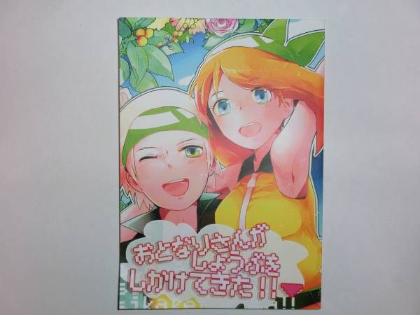 ポケモン同人誌 ユウキ ハルカ アンソロジー おとなり ゲーム 売買されたオークション情報 Yahooの商品情報をアーカイブ公開 オークファン Aucfan Com