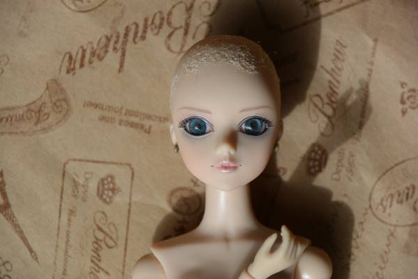ドール(モチーフなし)のみ] J-Doll ジェイドール フリードリヒ ドール 