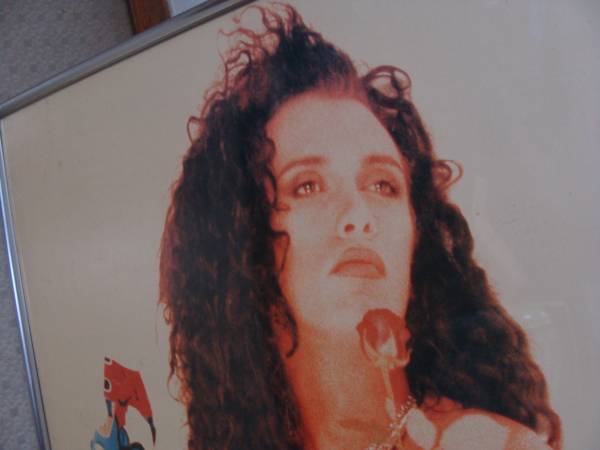 1989 ピートバーンズ DEAD OR ALIVE ポスター(ミュージシャン