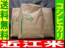 26年新米 近江コシヒカリ●農家直送●送料無料 10