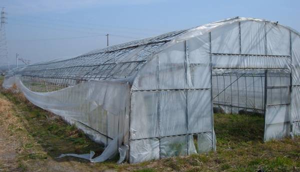 間口6m奥行50m 22 2mmアーチパイプ ビニールハウス 温室 ビニールハウス 売買されたオークション情報 Yahooの商品情報をアーカイブ公開 オークファン Aucfan Com 間口6m奥行50m 22 2mmアーチパイプ ビニールハウス 温室 ビニールハウス 売買されたオークション情報 Yahooの商品情報をアーカイブ公開 オークファン Aucfan Com