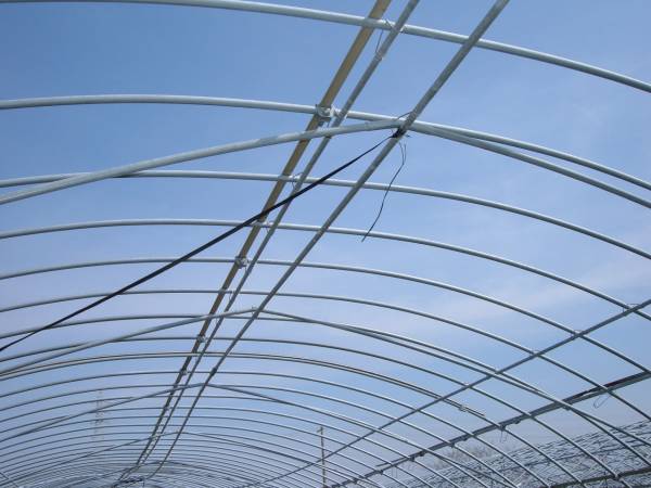 間口6m奥行50m 22,2mmアーチパイプ ビニールハウス中古(温室 
