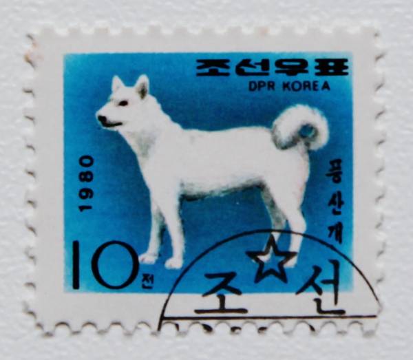 北朝鮮の切手 豊山犬 狩猟犬 1980年発行 アジア 売買されたオークション情報 Yahooの商品情報をアーカイブ公開 オークファン Aucfan Com