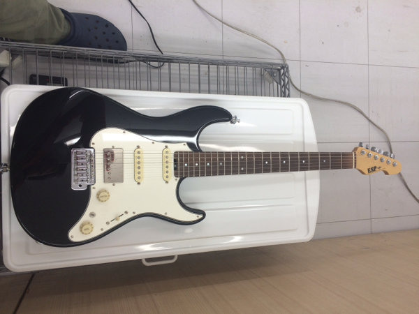 ESP ストラトタイプ snapper -alr スナッパー