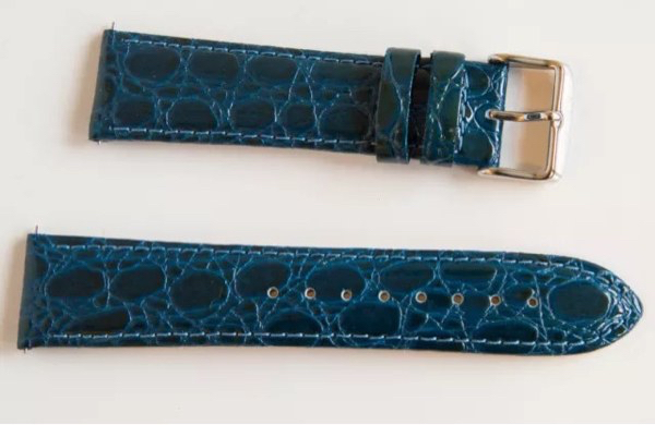 アイステック スペア 替えバンド ダークブルー 22mm icetek