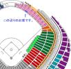 【最前列】6/23 巨人vs横浜DeNA ライト外野指定席ペア 4連可②