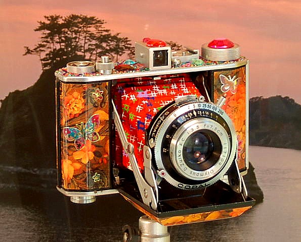 スプリングカメラ（ジャバラ式）、Ｏｌｙｍｐｕｓ　Ｓｉｘ　花柄