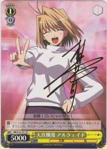 アルクェイドのYahoo!オークション(旧ヤフオク!)の相場・価格を見る