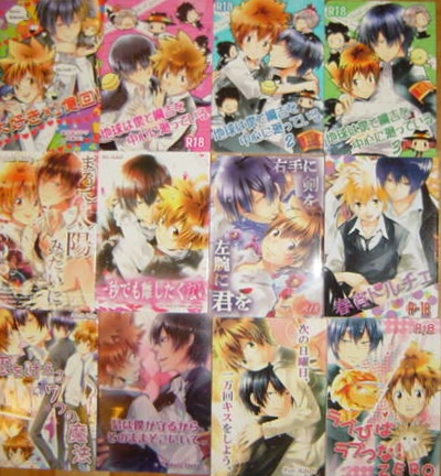 Reborn無作為ラヂオ 様発行小説本12冊ヒバツナ 家庭教師ヒットマンreborn 売買されたオークション情報 Yahooの商品情報をアーカイブ公開 オークファン Aucfan Com