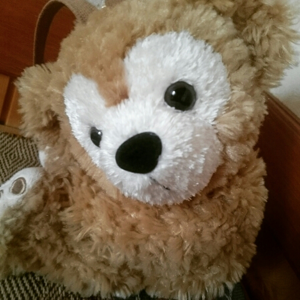 旧タイプ ダッフィー ポーチ 大きい目 中国製 シェリーメイ ダッフィー 売買されたオークション情報 Yahooの商品情報をアーカイブ公開 オークファン Aucfan Com