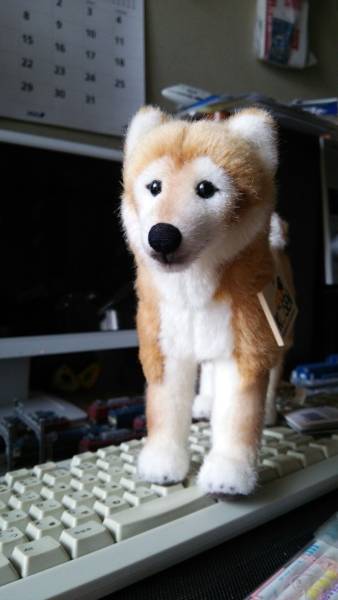柴犬　ぬいぐるみ