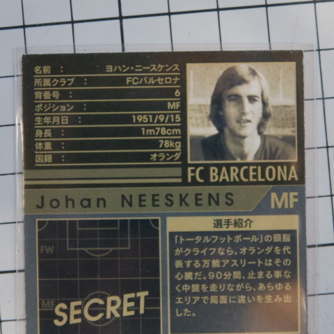 Wccf 12 13 Atle ヨハン ニースケンス トップ下最強 レアカード 売買されたオークション情報 Yahooの商品情報をアーカイブ公開 オークファン Aucfan Com