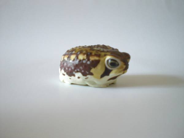 財布にカエル お財布蛙 海洋堂 アメフクラガエル お守 カエル 売買されたオークション情報 Yahooの商品情報をアーカイブ公開 オークファン Aucfan Com