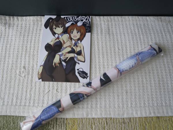 C89 冬コミ きなこの山 ガルパン アニメーター 新刊+タペストリ-