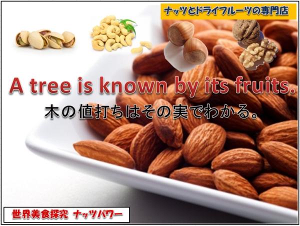 美食探究 オーストラリア産 マカダミアナッツ (生) 1kg