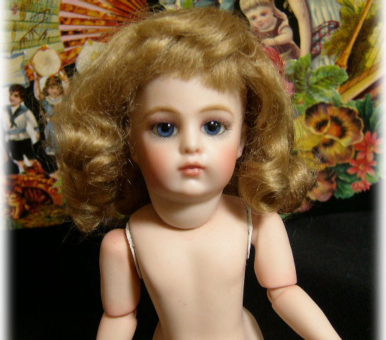 ★★ブリュ・プチサイズ！！オールビスク★リプロ★★