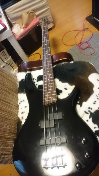 Ibanez SDGR フジゲン PJベース 日本製 Fシリアル Yahoo!オークション