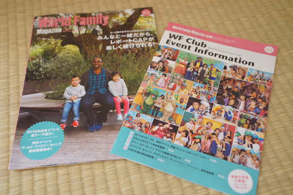 DWEディズニー英語システム ワールドファミリー DVDメイト MATE