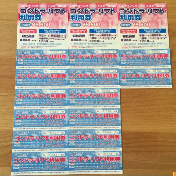 いわてウインターリゾートスキーリフト券(送料無料、オマケあり)