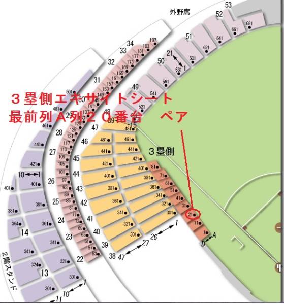 3/19(土)　巨人vs楽天３塁側エキサイトシートＡ列ペア【最前列】