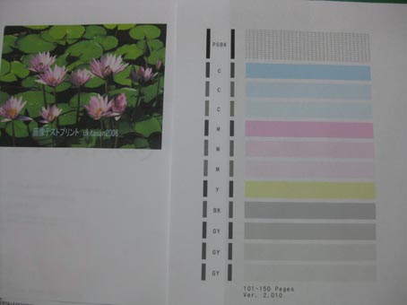 Canon PIXUS MG6330 WH（ホワイト） （複合機)　完動品　