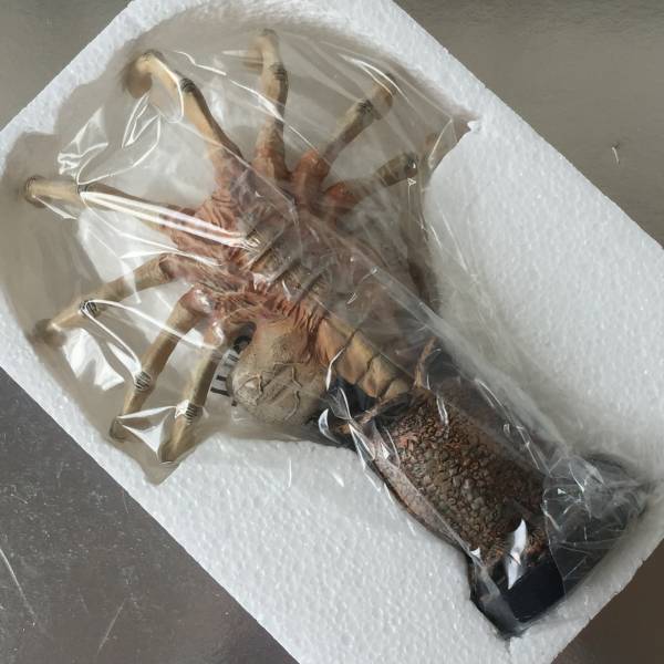 NECA ヘッドノッカー ALIEN エイリアン フェイスハガー NECA 【公式通販】