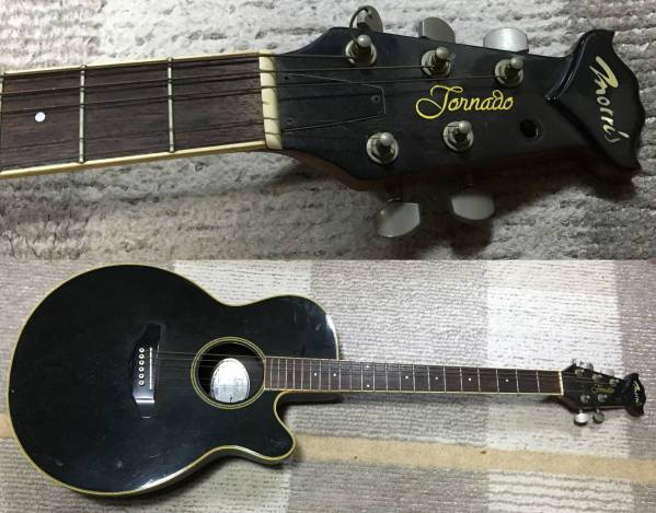 Morris モーリス エレアコ トルネード TZJ Morris Tornado TZJ 税込