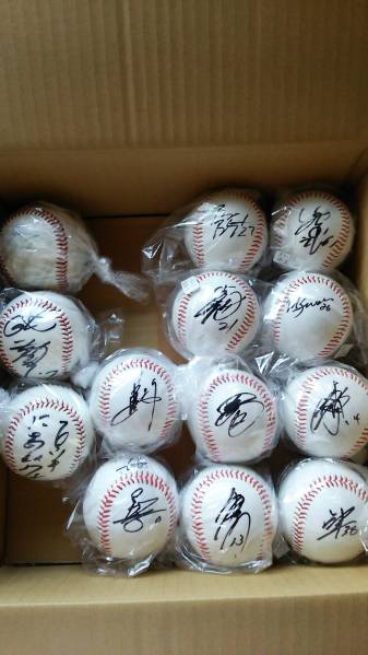 プロ野球☆直筆サインボール・色紙セットＡ☆ＮＰＢ公式球付☆
