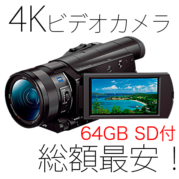 4日間レンタル★4KビデオカメラSONY FDR-AX100★送料込3，980円～