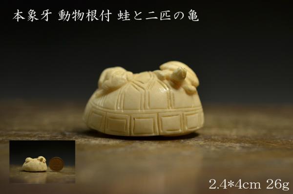 GZ 本象牙 動物根付 蛙と二匹の亀 2.4*4cm 26g