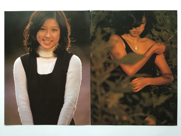 篠山紀信 激写美少女ヌード（1) 34P 別冊GORO切り抜き(タレント)｜売買