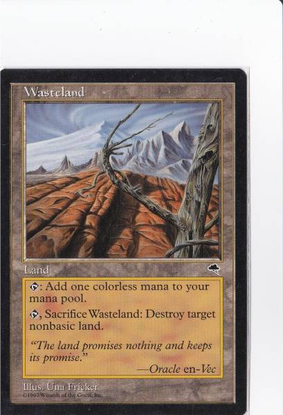 【MTG】不毛の大地英語1枚、即決