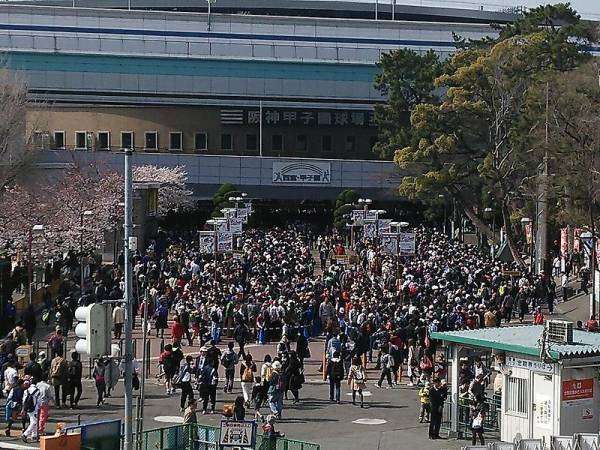 第98回 高校野球選手権 3塁特別自由席券 第8日 8月14日 入場券