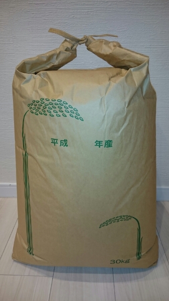 平成27年度 栃木県産 コシヒカリ玄米