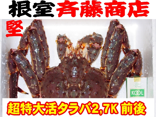 【根室斉藤商店】活　超入手困難！！超特大活タラバ2.7Ｋ前後