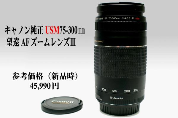 カメラ ☆超望遠&高速AF◇Canon純正 75-300mm Ⅲ型超望遠レンズ◇
