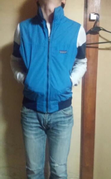 【美品】 patagonia パタゴニア ベスト ブルー Ｓ