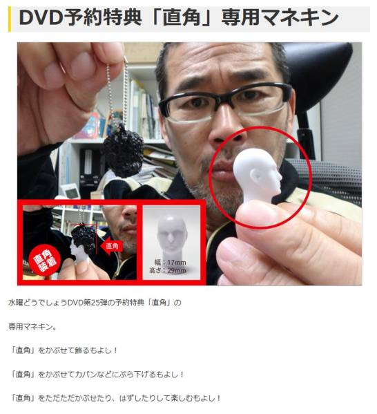 水曜どうでしょう DVD予約特典 「直角」 専用マネキン おまけ付_3