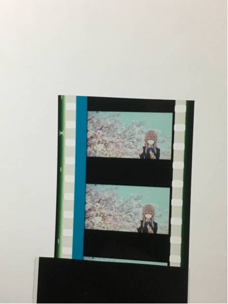 聲の形 特典 フィルム 西宮硝子 餌やり に興味をもっていただき 【公式