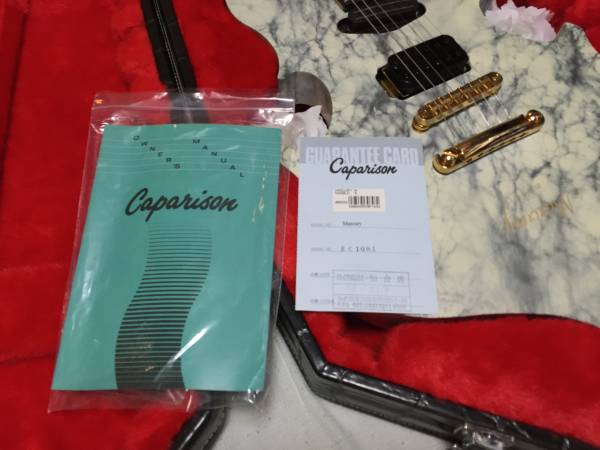 ☆超レア Gacktモデルのギター Mercury 未使用・ほぼ新品(本体)｜売買