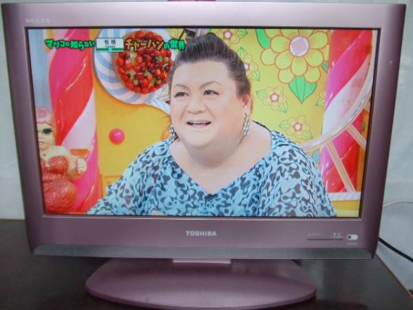 東芝 REGZA 19インチ　地デジ ワイド液晶テレビ 19A8000 09年製