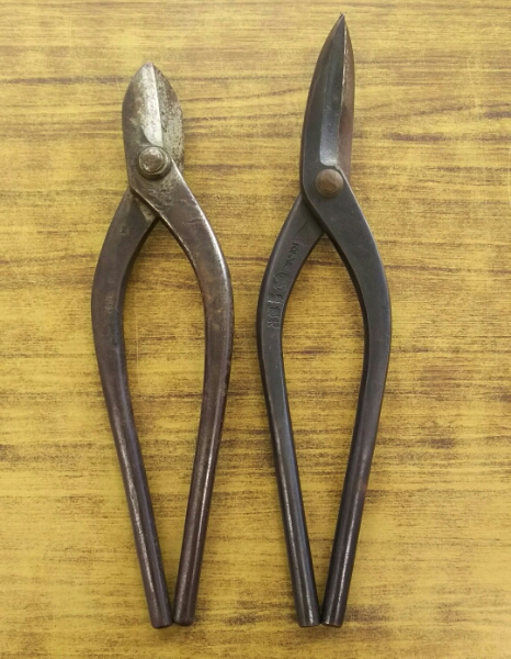 g231672878.1