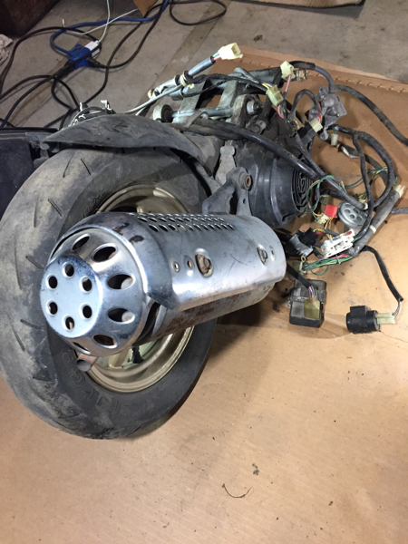 ライブディオZX 2サイクル最終型 AF35 ゴールドアルミホイル ライブ