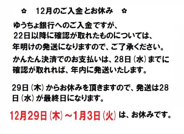 マイケル・J F クリストファー・ロイド 直筆サイン写真 2455