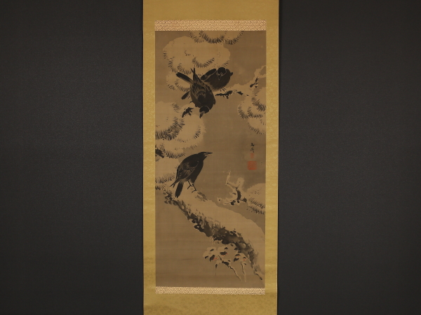 k281513619.1